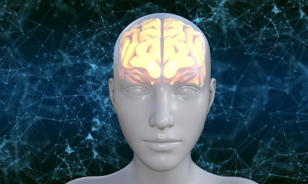 human, brain, avatar-5937759.jpg
