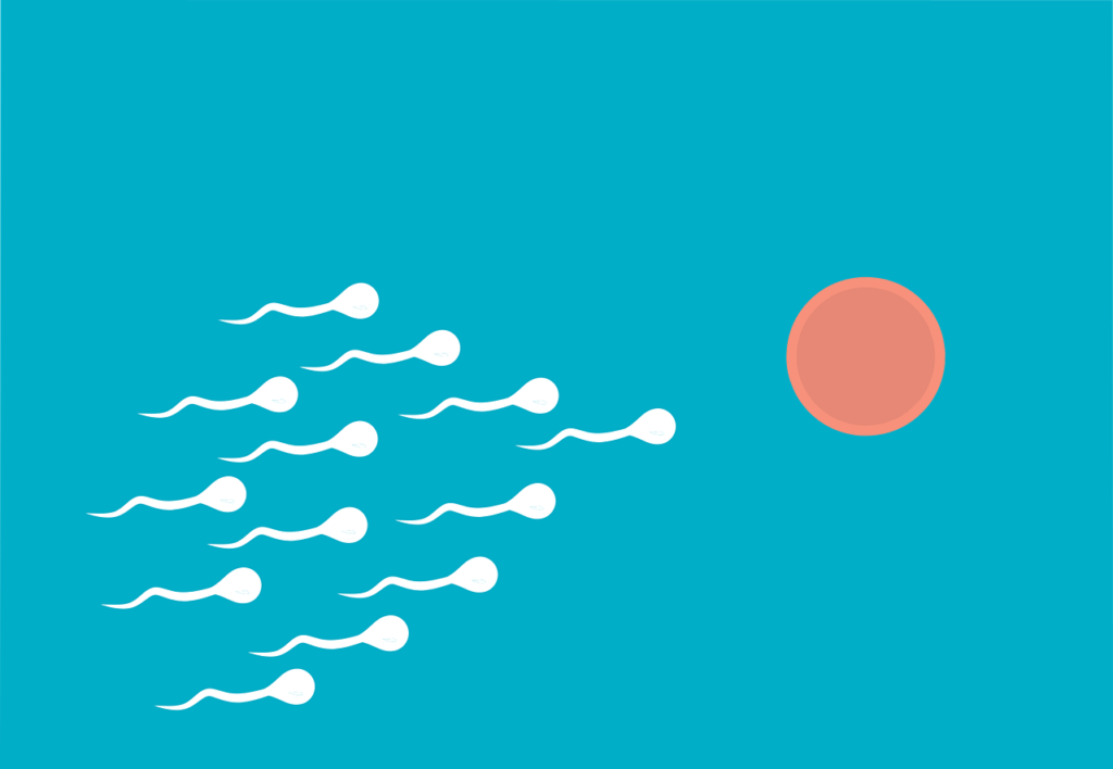 fertilization, sperm, medical-6918867.jpg